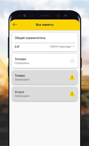 Скриншот 7 — РН-Карт