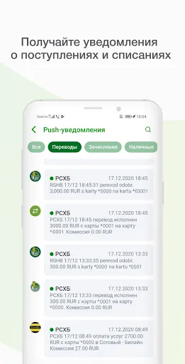 Скриншот 8 — Мобильный банк, Россельхозбанк