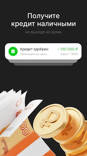 Скриншот 3 — Свои Финансы