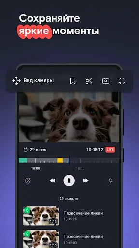 Скриншот 5 — Видеонаблюдение и Умный дом