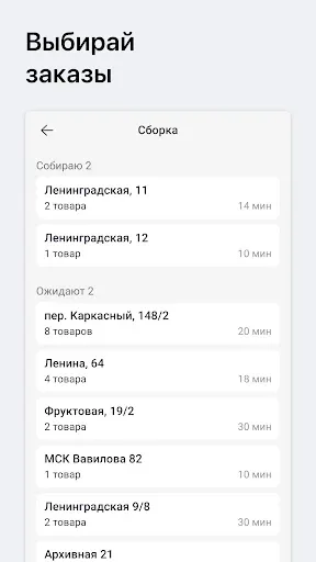 Скриншот 4 — Самокат Dark Store