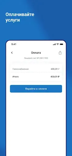Скриншот 4 — Оплата за газ