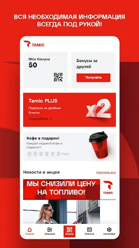 Скриншот 1 — Tamic Energy