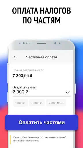 Скриншот 3 — Мои налоги по ИНН - налоги РФ