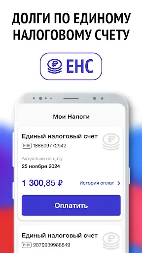 Скриншот 5 — Мои налоги по ИНН - налоги РФ