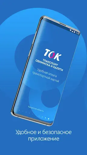 Скриншот 1 — ТОК