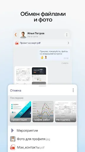 Скриншот 6 — Saby Meet
