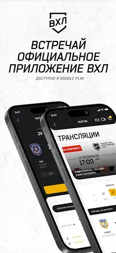 Скриншот 1 — ВХЛ