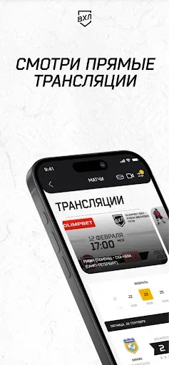 Скриншот 3 — ВХЛ