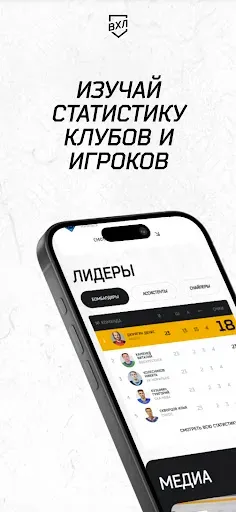 Скриншот 5 — ВХЛ