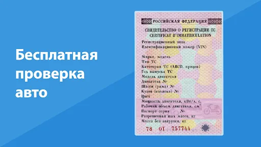 Скриншот 7 — База РФ — проверка авто по VIN