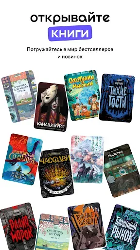 Скриншот 1 — WB Книги