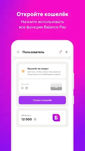 Скриншот 1 — Balance Pay