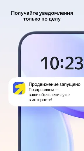 Скриншот 5 — Яндекс Директ для бизнеса