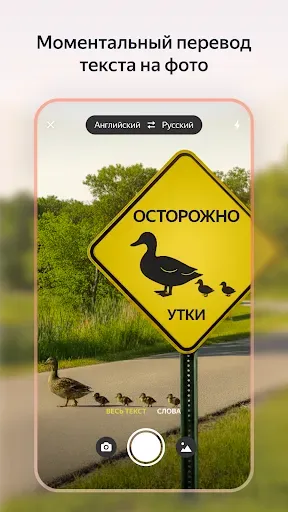 Скриншот 3 — Яндекс Переводчик