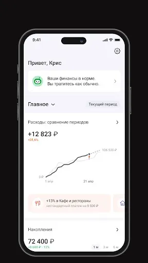 Скриншот 7 — Дзен-мани: учет расходов