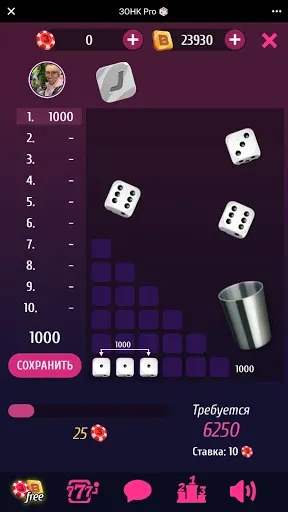 Скриншот 1 — ЗОНК Про