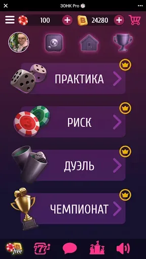 Скриншот 6 — ЗОНК Про