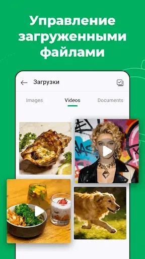 Скриншот 5 — Web Scanner – Двойной чат