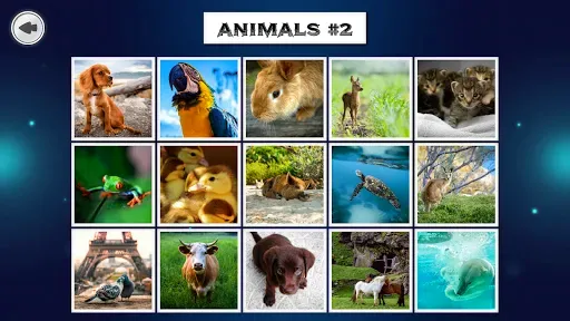 Скриншот 7 — IMAGEine Premium