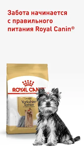 Скриншот 6 — Royal Canin – забота о питомце