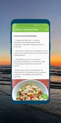 Скриншот 4 — Salatlar retsepti (o'zbekcha)