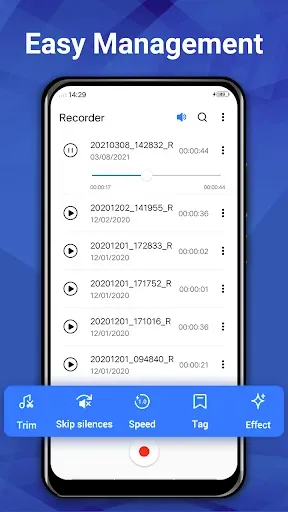 Скриншот 2 — Диктофон и голосовые заметки