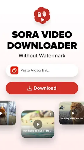 Скриншот 1 — Sora Video Downloader -SoraVDL