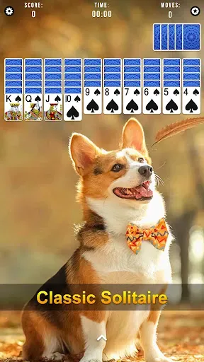 Скриншот 7 — Spider Solitaire