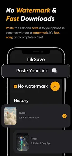 Скриншот 1 — Скачиватель видео TikTok