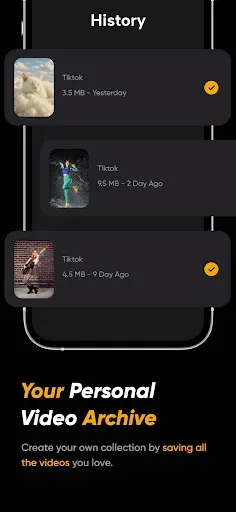 Скриншот 3 — Скачиватель видео TikTok