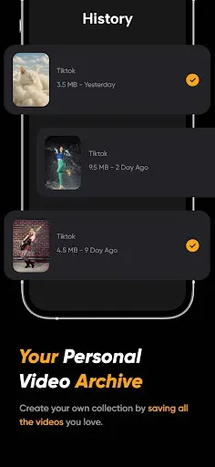 Скриншот 6 — Скачиватель видео TikTok