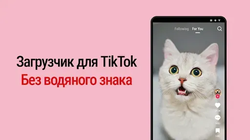 Скриншот 1 — Скачать ТТ без водяного знака