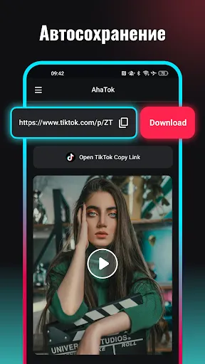 Скриншот 4 — Скачать видео с TT
