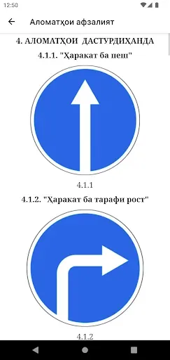 Скриншот 7 — Автодром - Қоидаҳои роҳ