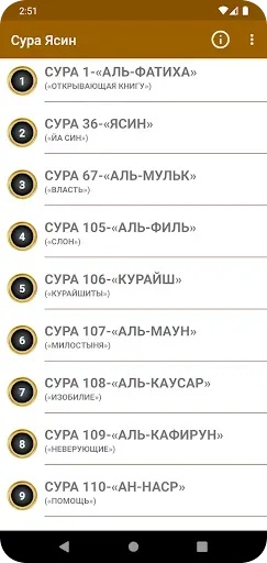 Скриншот 1 — Сура Ясин
