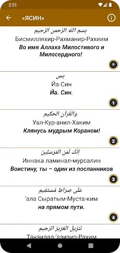 Скриншот 3 — Сура Ясин