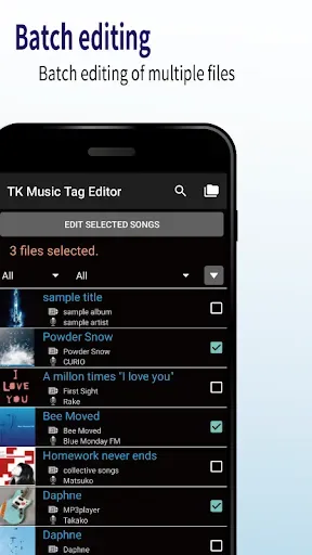 Скриншот 5 — TK Music Tag Editor -Complete-