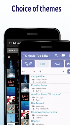 Скриншот 6 — TK Music Tag Editor -Complete-