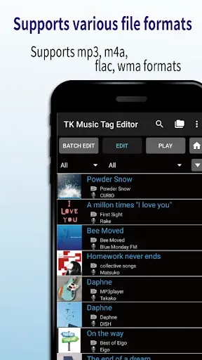 Скриншот 8 — TK Music Tag Editor -Complete-