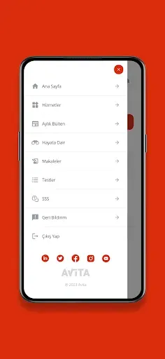 Скриншот 5 — AVİTA Çalışan Destek Programı