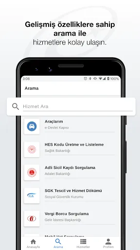 Скриншот 4 — e-Devlet Kapısı