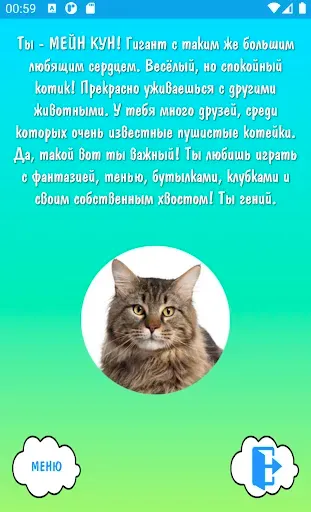 Скриншот 5 — Тесты "Кто ты"
