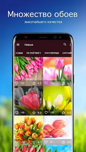 Скриншот 1 — Обои с тюльпанами PRO