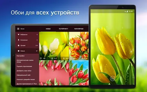 Скриншот 5 — Обои с тюльпанами PRO