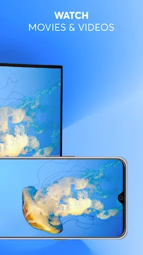 Скриншот 3 — Screen Mirroring - TV Cast