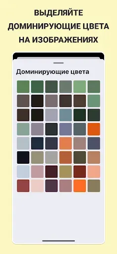 Скриншот 8 — Color & Palette