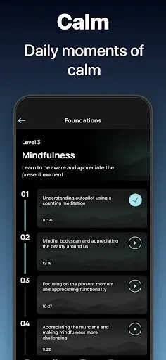 Скриншот 2 — Serenity: Guided Meditation