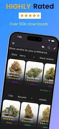 Скриншот 1 — Strain Guide