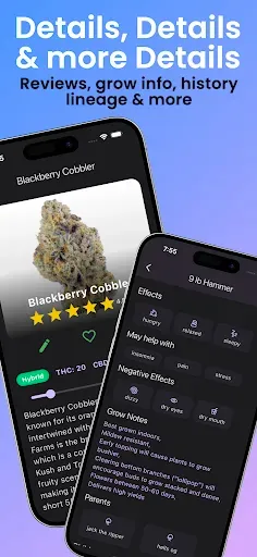 Скриншот 2 — Strain Guide